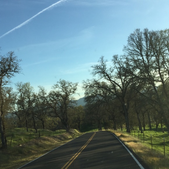 Meet your Posher, Annie - Picture 3 of 6